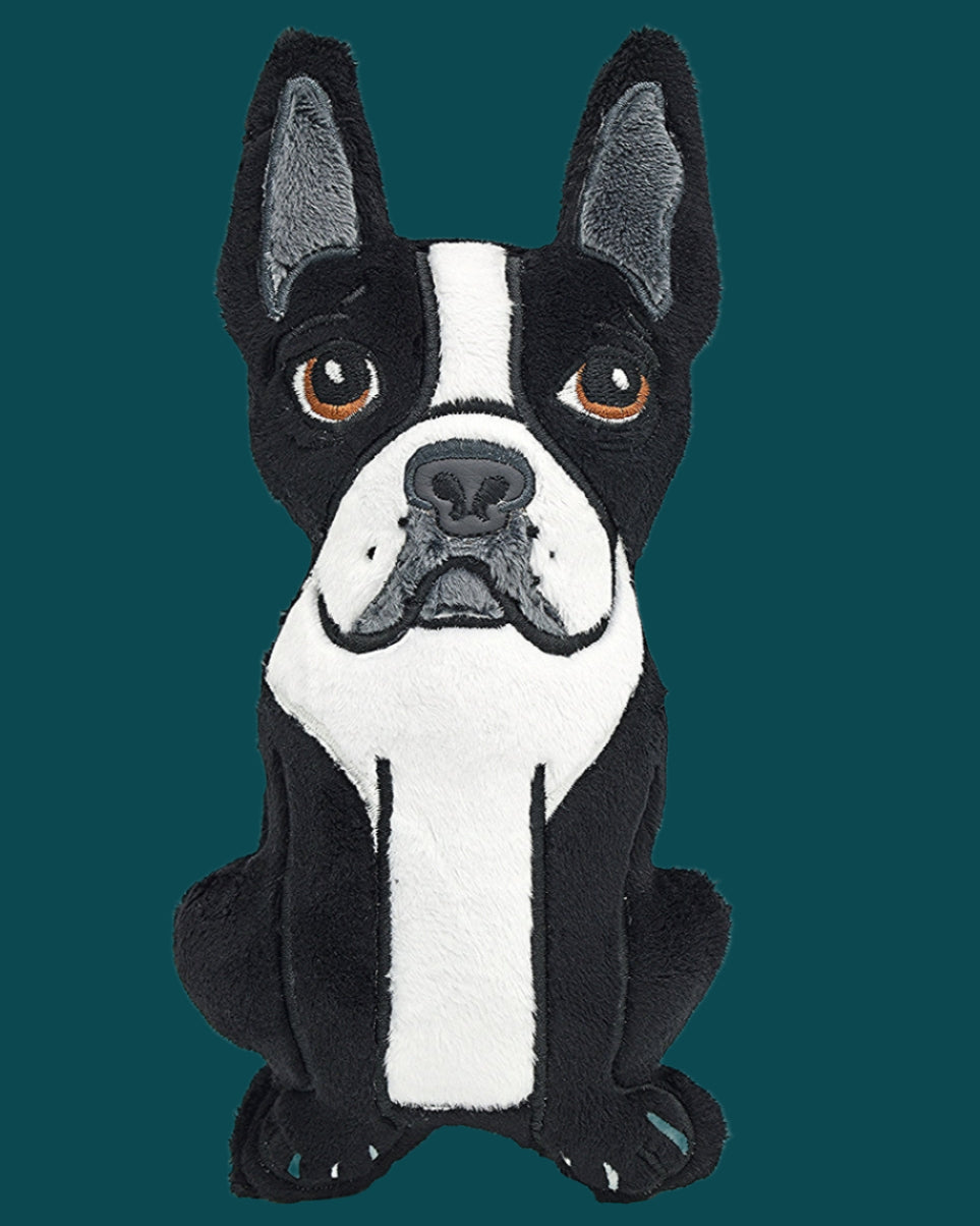 Cuddly Boston Terrier